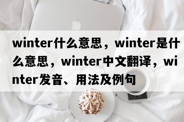 winter什么意思，winter是什么意思，winter中文翻譯，winter發(fā)音、用法及例句