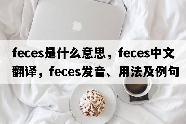 feces是什么意思，feces中文翻譯，feces發(fā)音、用法及例句