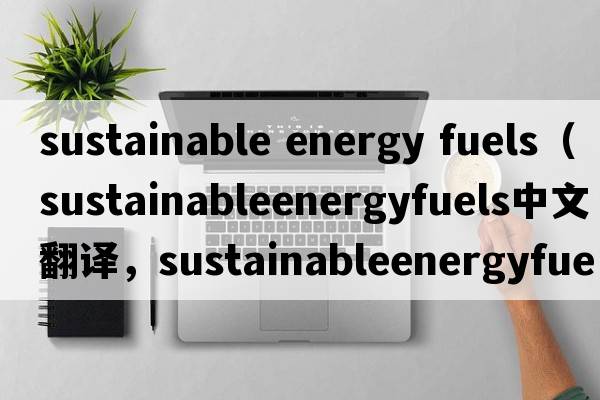 sustainable energy fuels（sustainableenergyfuels中文翻譯，sustainableenergyfuels是什么意思，sustainableenergyfuels發(fā)音、用法及例句）