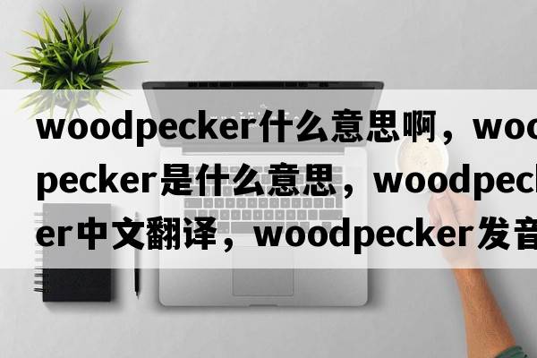 woodpecker什么意思啊，woodpecker是什么意思，woodpecker中文翻譯，woodpecker發(fā)音、用法及例句