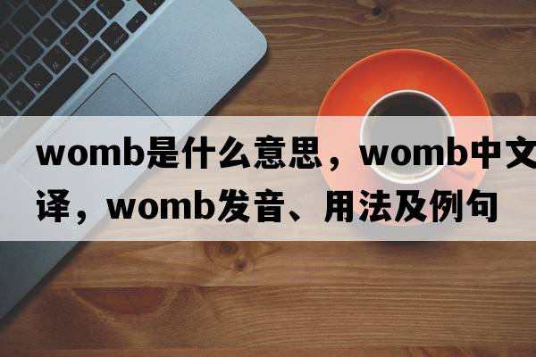 womb是什么意思，womb中文翻譯，womb發(fā)音、用法及例句