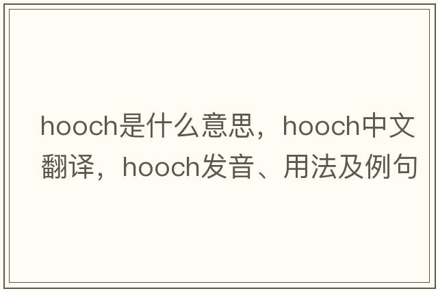 hooch是什么意思，hooch中文翻譯，hooch發(fā)音、用法及例句