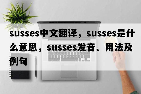 susses中文翻譯，susses是什么意思，susses發(fā)音、用法及例句