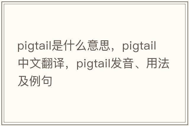 pigtail是什么意思，pigtail中文翻譯，pigtail發(fā)音、用法及例句