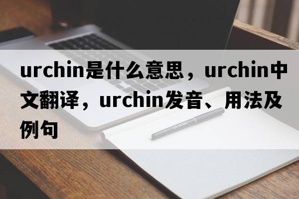 urchin是什么意思，urchin中文翻譯，urchin發(fā)音、用法及例句