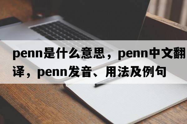 penn是什么意思，penn中文翻譯，penn發(fā)音、用法及例句
