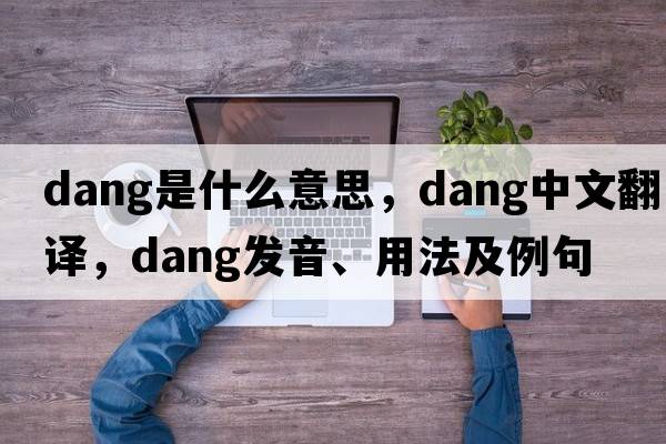 dang是什么意思，dang中文翻譯，dang發(fā)音、用法及例句