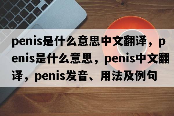 penis是什么意思中文翻譯，penis是什么意思，penis中文翻譯，penis發(fā)音、用法及例句