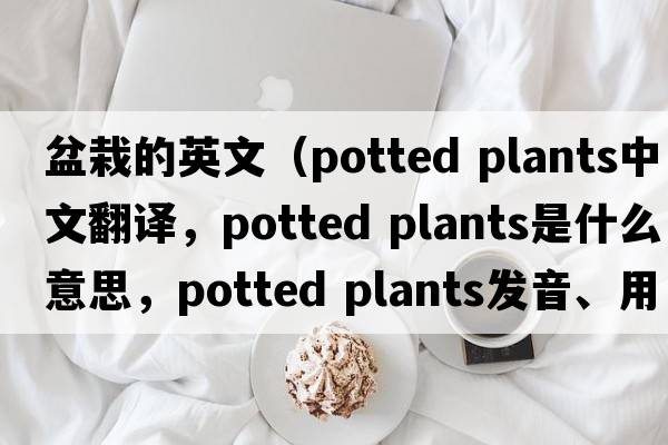 盆栽的英文（potted plants中文翻譯，potted plants是什么意思，potted plants發(fā)音、用法及例句）
