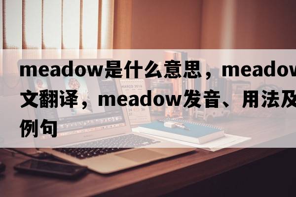 meadow是什么意思，meadow中文翻譯，meadow發(fā)音、用法及例句
