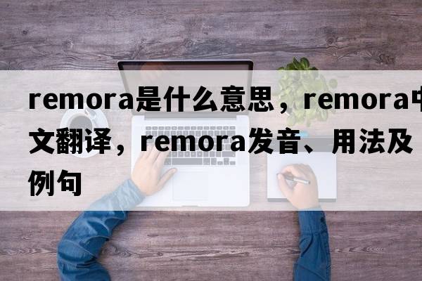 remora是什么意思，remora中文翻譯，remora發(fā)音、用法及例句