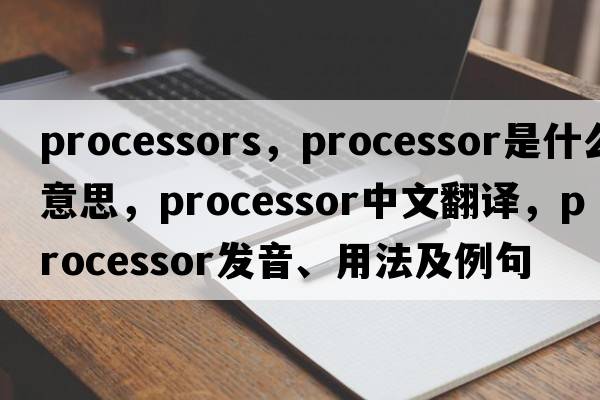 processors，processor是什么意思，processor中文翻譯，processor發(fā)音、用法及例句