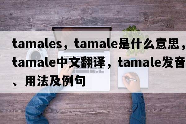 tamales，tamale是什么意思，tamale中文翻譯，tamale發(fā)音、用法及例句