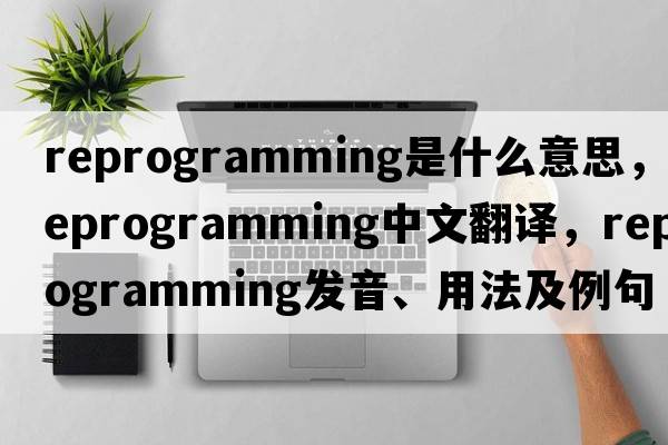 reprogramming是什么意思，reprogramming中文翻譯，reprogramming發(fā)音、用法及例句