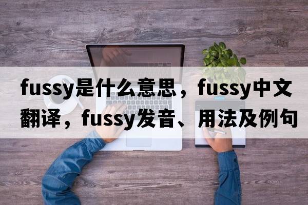 fussy是什么意思，fussy中文翻譯，fussy發(fā)音、用法及例句