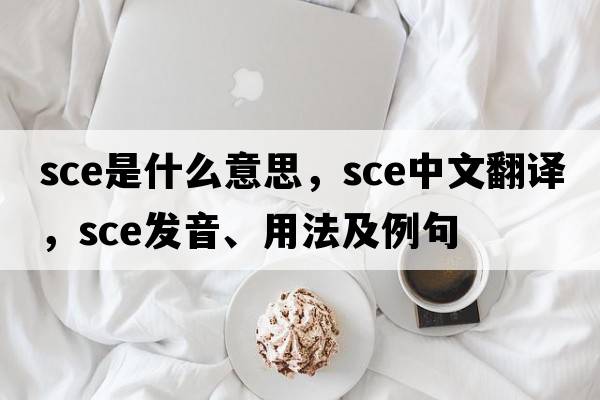 sce是什么意思，sce中文翻譯，sce發(fā)音、用法及例句