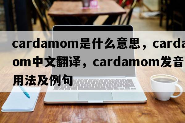 cardamom是什么意思，cardamom中文翻譯，cardamom發(fā)音、用法及例句