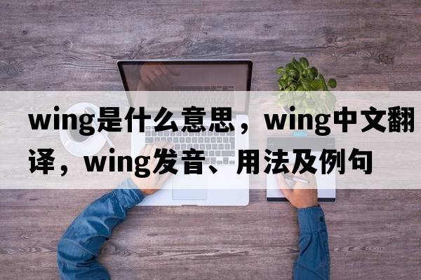 wing是什么意思，wing中文翻譯，wing發(fā)音、用法及例句