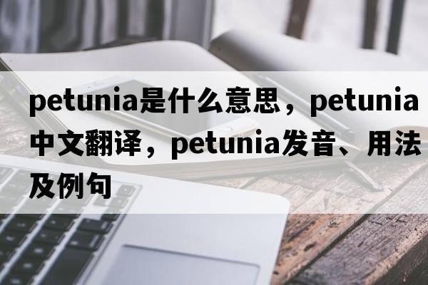 petunia是什么意思，petunia中文翻譯，petunia發(fā)音、用法及例句