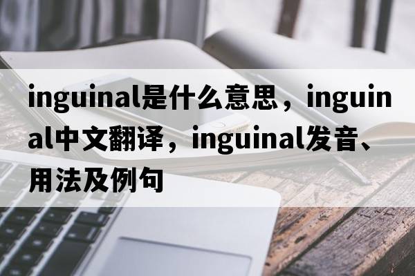 inguinal是什么意思，inguinal中文翻譯，inguinal發(fā)音、用法及例句