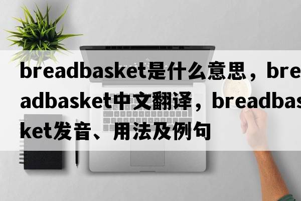 breadbasket是什么意思，breadbasket中文翻譯，breadbasket發(fā)音、用法及例句