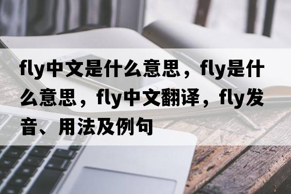 fly中文是什么意思，fly是什么意思，fly中文翻譯，fly發(fā)音、用法及例句