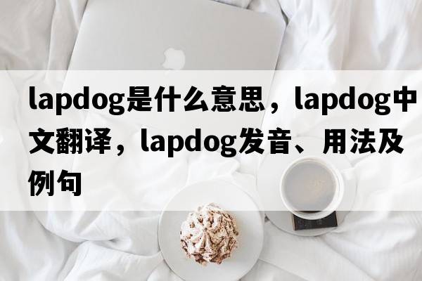 lapdog是什么意思，lapdog中文翻譯，lapdog發(fā)音、用法及例句