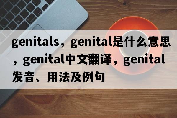 genitals，genital是什么意思，genital中文翻譯，genital發(fā)音、用法及例句