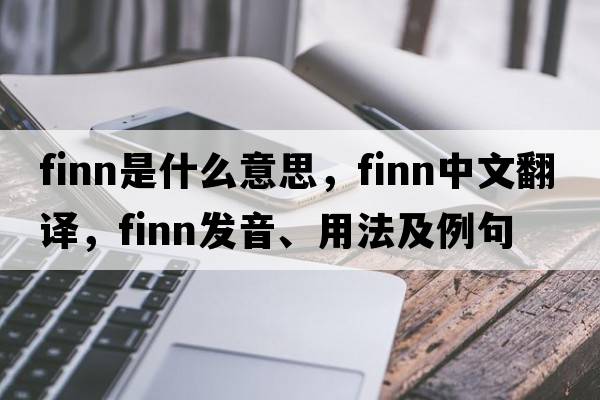 Finn是什么意思，F(xiàn)inn中文翻譯，F(xiàn)inn發(fā)音、用法及例句