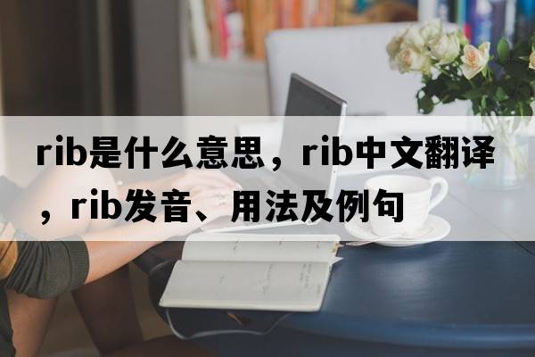 rib是什么意思，rib中文翻譯，rib發(fā)音、用法及例句