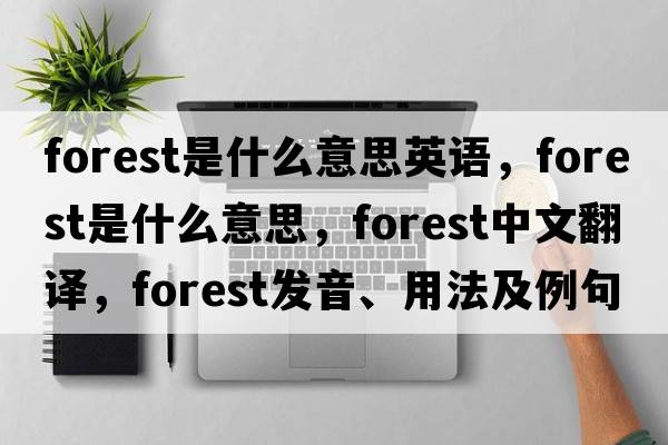 forest是什么意思英語，forest是什么意思，forest中文翻譯，forest發(fā)音、用法及例句