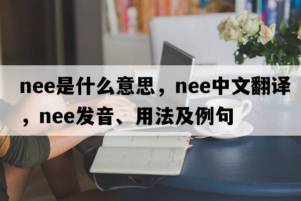 nee是什么意思，nee中文翻譯，nee發(fā)音、用法及例句