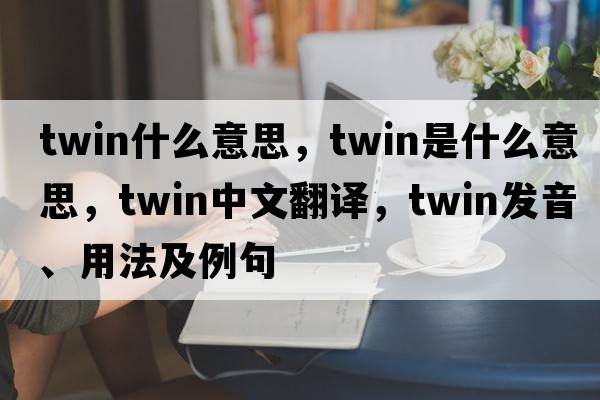 twin什么意思，twin是什么意思，twin中文翻譯，twin發(fā)音、用法及例句