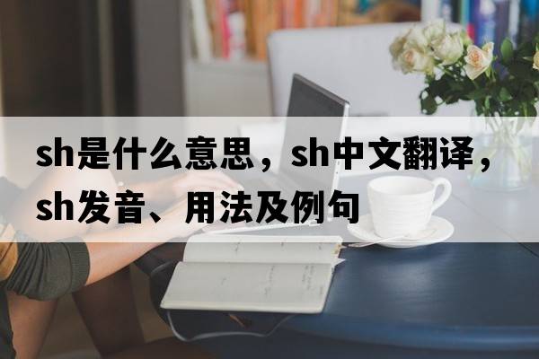 sh是什么意思，sh中文翻譯，sh發(fā)音、用法及例句