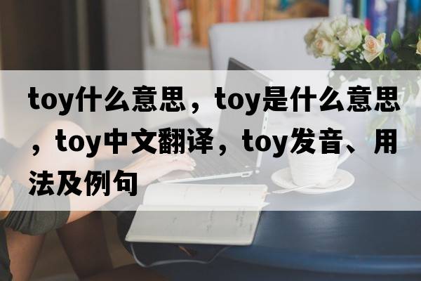 toy什么意思，toy是什么意思，toy中文翻譯，toy發(fā)音、用法及例句