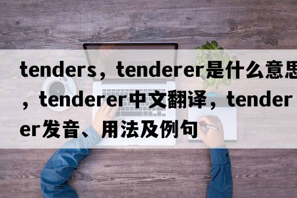 tenders，tenderer是什么意思，tenderer中文翻譯，tenderer發(fā)音、用法及例句