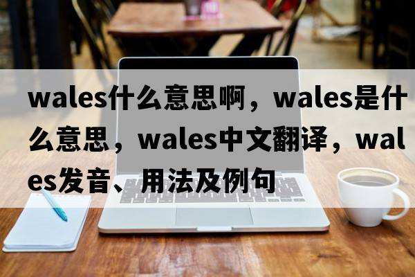 wales什么意思啊，Wales是什么意思，Wales中文翻譯，Wales發(fā)音、用法及例句