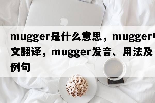mugger是什么意思，mugger中文翻譯，mugger發(fā)音、用法及例句