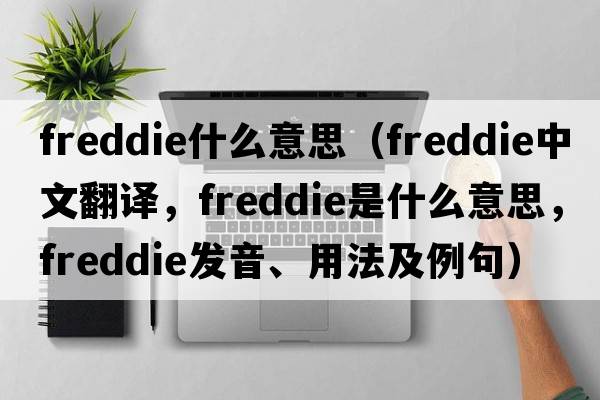 freddie什么意思（Freddie中文翻譯，F(xiàn)reddie是什么意思，F(xiàn)reddie發(fā)音、用法及例句）