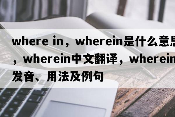 where in，wherein是什么意思，wherein中文翻譯，wherein發(fā)音、用法及例句