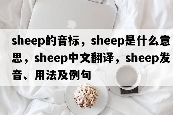 sheep的音標(biāo)，sheep是什么意思，sheep中文翻譯，sheep發(fā)音、用法及例句