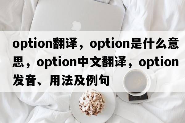 option翻譯，option是什么意思，option中文翻譯，option發(fā)音、用法及例句