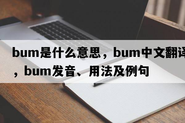 bum是什么意思，bum中文翻譯，bum發(fā)音、用法及例句