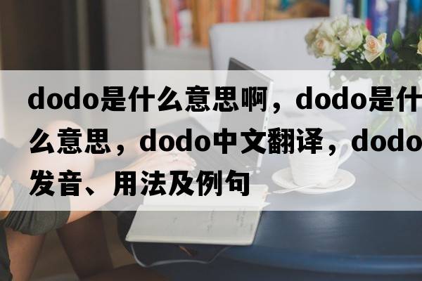 dodo是什么意思啊，dodo是什么意思，dodo中文翻譯，dodo發(fā)音、用法及例句