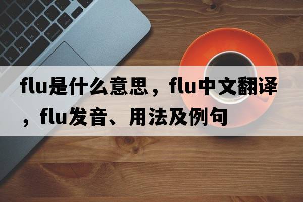 flu是什么意思，flu中文翻譯，flu發(fā)音、用法及例句