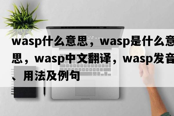 wasp什么意思，wasp是什么意思，wasp中文翻譯，wasp發(fā)音、用法及例句