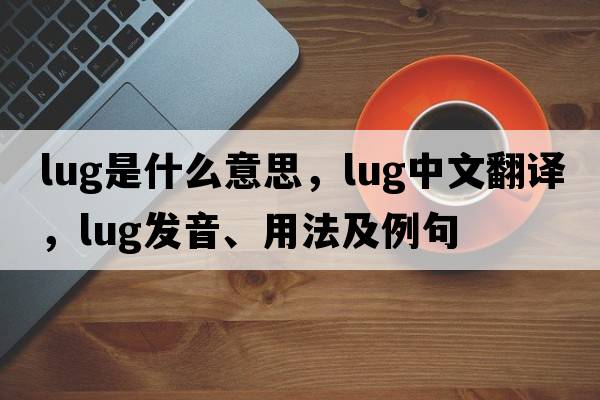 lug是什么意思，lug中文翻譯，lug發(fā)音、用法及例句