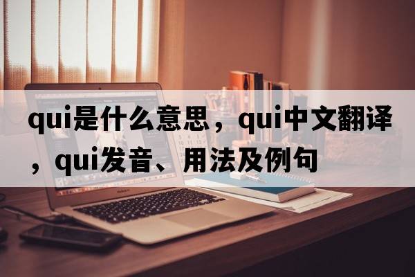qui是什么意思，qui中文翻譯，qui發(fā)音、用法及例句
