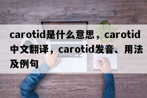 carotid是什么意思，carotid中文翻譯，carotid發(fā)音、用法及例句