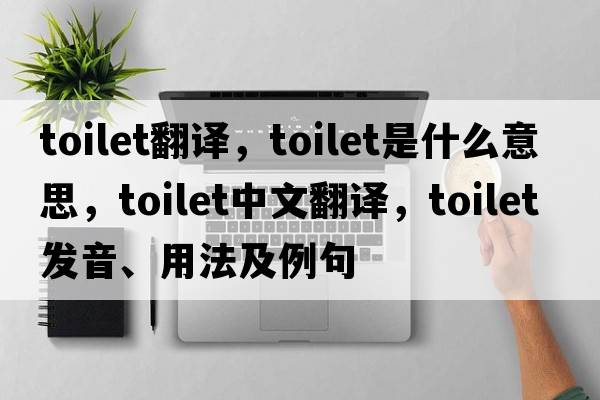 toilet翻譯，toilet是什么意思，toilet中文翻譯，toilet發(fā)音、用法及例句